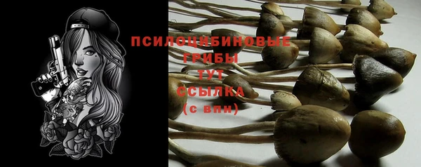 альфа пвп Няндома