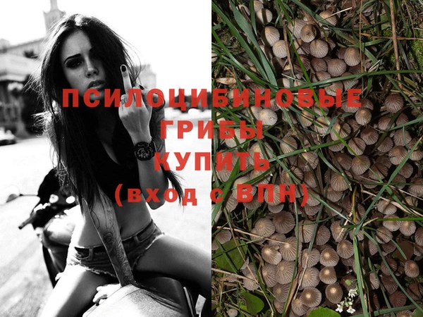 mdpv Пыталово