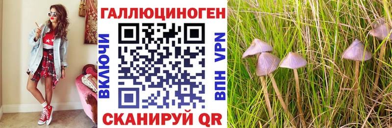 наркошоп  Торопец  Псилоцибиновые грибы GOLDEN TEACHER 