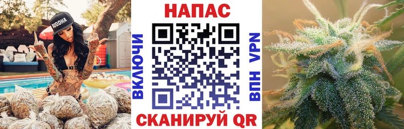 даркнет сайт  Торопец  Шишки марихуана индика 